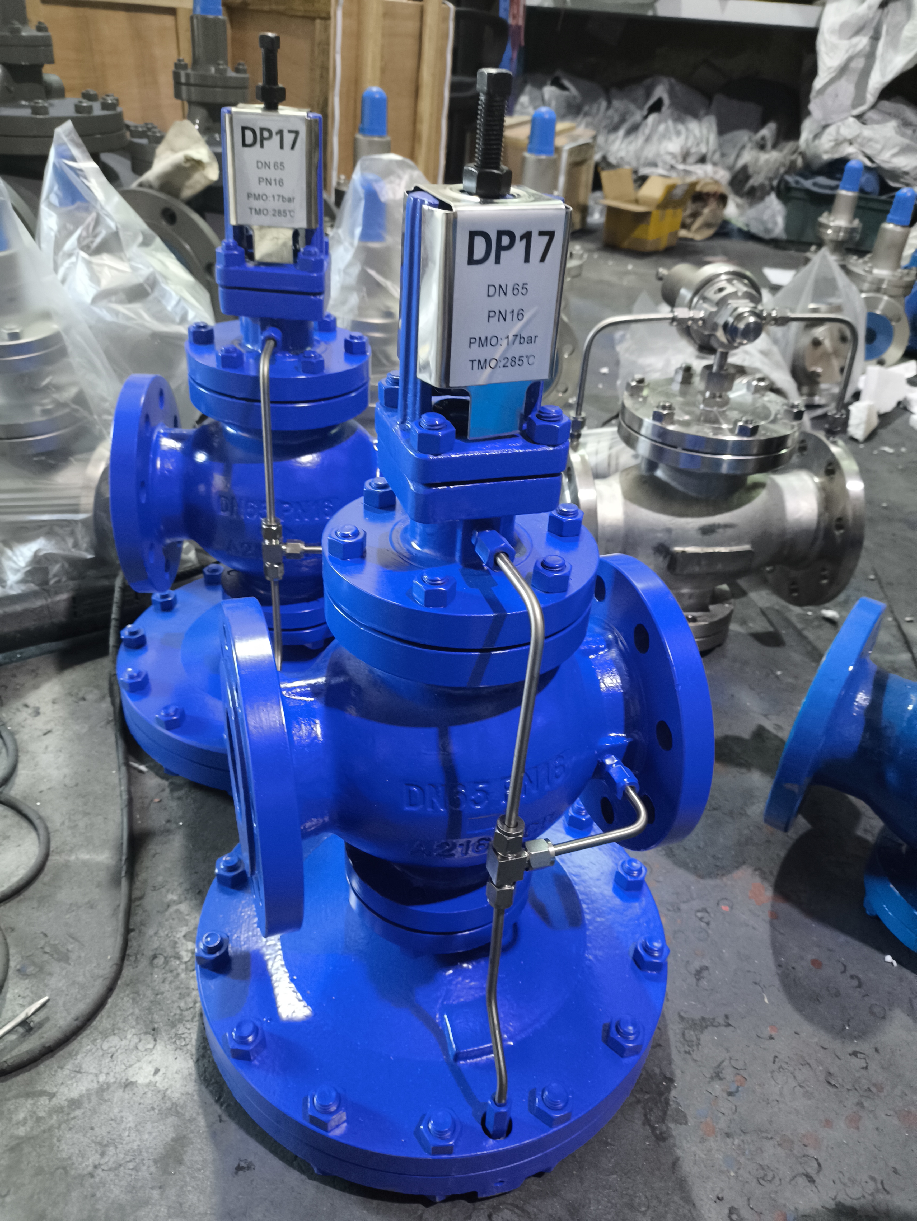 DP17减压阀，可能是特定型号的减压阀，外观简洁，性能稳定
